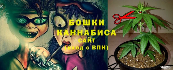 бутират Бородино