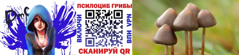 Псилоцибиновые грибы Magic Shrooms  Купить  Дальнегорск 